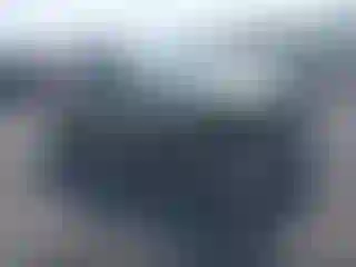 Vehicle Image- 2022 Subaru Forester