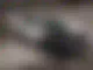 Vehicle Image- 2021 Subaru Forester