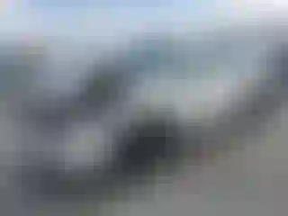 Vehicle Image- 2021 Subaru Forester