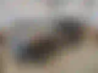 Vehicle Image- 2023 Subaru Forester