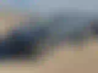 Vehicle Image- 2021 Subaru Forester