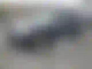 Vehicle Image- 2023 Subaru Forester