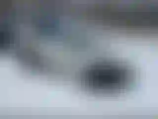 Vehicle Image- 2021 Subaru Forester