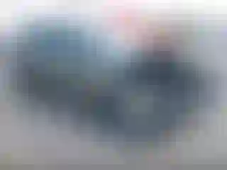 Vehicle Image- 2023 Subaru Forester