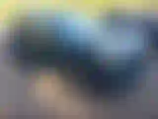 Vehicle Image- 2023 Subaru Forester