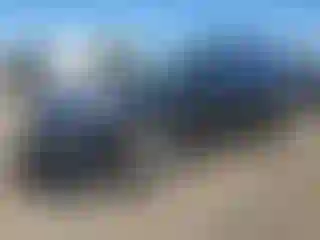 Vehicle Image- 2019 Subaru Forester