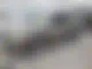 Vehicle Image- 2019 Subaru Forester