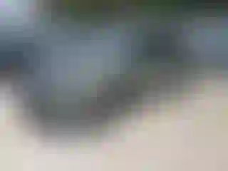 Vehicle Image- 2021 Subaru Forester