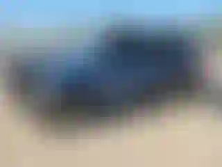 Vehicle Image- 2021 Subaru Forester