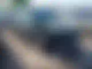 Vehicle Image- 2021 Subaru Forester