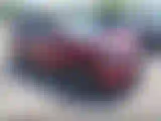 Vehicle Image- 2021 Subaru Forester