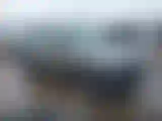 Vehicle Image- 2019 Subaru Forester