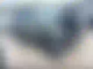 Vehicle Image- 2020 Subaru Forester
