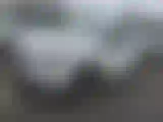 Vehicle Image- 2021 Subaru Forester