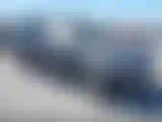 Vehicle Image- 2021 Subaru Forester