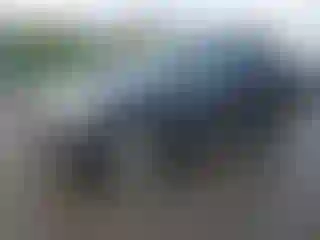 Vehicle Image- 2019 Subaru Forester