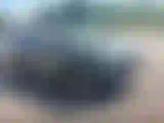 Vehicle Image- 2020 Subaru Forester