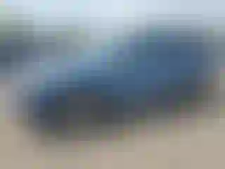 Vehicle Image- 2020 Subaru Forester