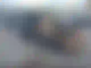 Vehicle Image- 2020 Subaru Forester