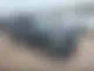 Vehicle Image- 2020 Subaru Forester