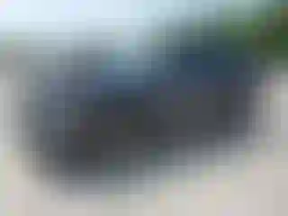 Vehicle Image- 2021 Subaru Forester