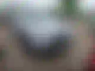 Vehicle Image- 2020 Subaru Forester