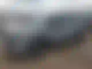 Vehicle Image- 2025 Subaru Forester