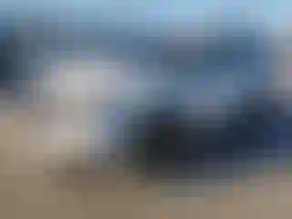 Vehicle Image- 2025 Subaru Forester