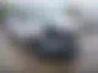 Vehicle Image- 2025 Subaru Forester