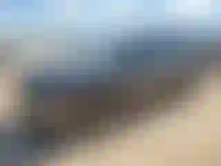 Vehicle Image- 2025 Subaru Forester
