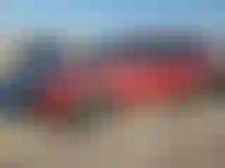 Vehicle Image- 2025 Subaru Forester