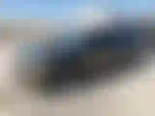 Vehicle Image- 2025 Subaru Forester