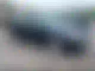 Vehicle Image- 2006 Acura TSX