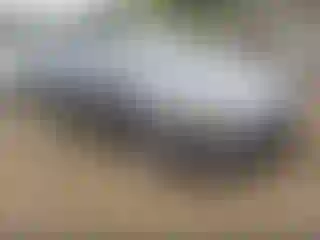 Vehicle Image- 2009 Acura TSX