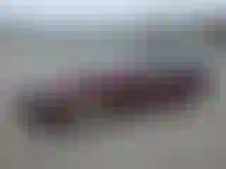 Vehicle Image- 2012 Acura TSX