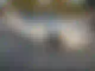 Vehicle Image- 2012 Acura TSX