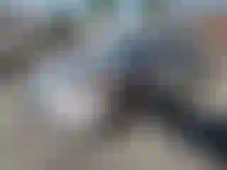 Vehicle Image- 2010 Acura TSX