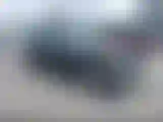 Vehicle Image- 2010 Acura TSX