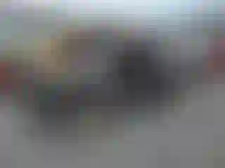 Vehicle Image- 2010 Acura TSX