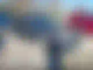 Vehicle Image- 2010 Acura TSX