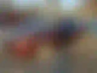 Vehicle Image- 2010 Acura TSX