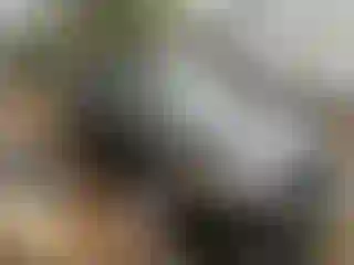 Vehicle Image- 2011 Acura TSX