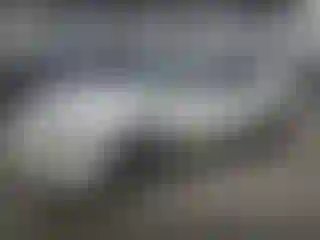 Vehicle Image- 1999 Acura Integra