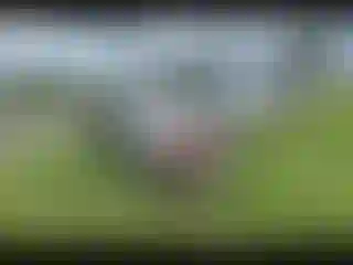 IMPORTOWO.pl