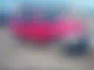Vehicle Image- 1999 Honda CR-V