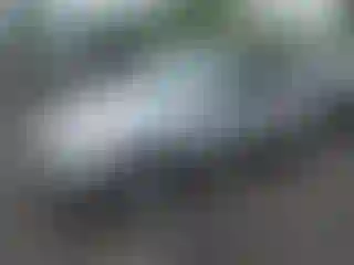 Vehicle Image- 2001 Honda CR-V