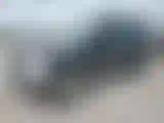 Vehicle Image- 2001 Honda CR-V