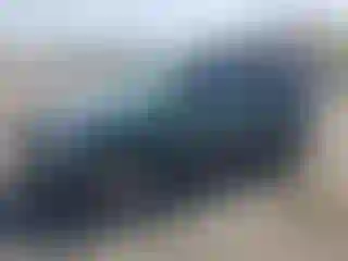Vehicle Image- 2001 Honda CR-V