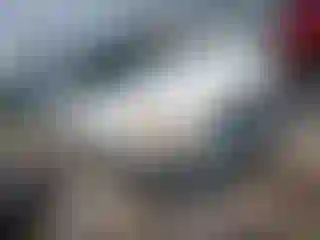 Vehicle Image- 2004 Honda CR-V