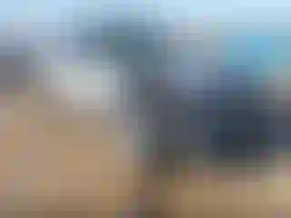 Vehicle Image- 2002 Honda CR-V